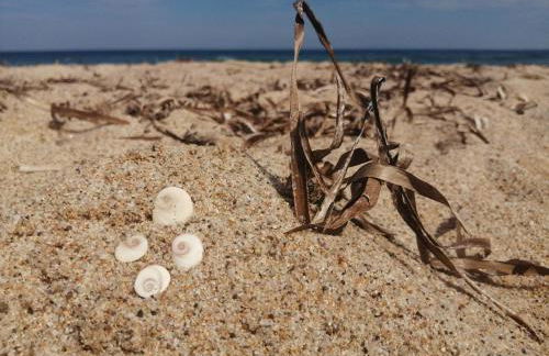 Cala Sardinia Apartment - Foto 27