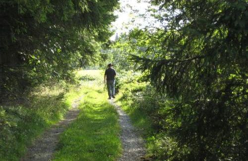 Ferienwohnung Heger - Foto 36