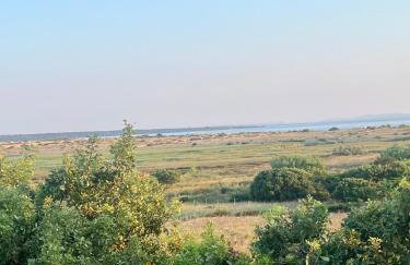 Villa Maslina - Photo 23