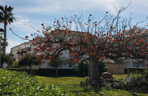 Apartamento Amanecer Laguna Beach Torrox costa - Photo 34