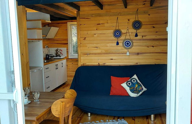 Sole Foca ( Ages 12+ ) - Foto 19