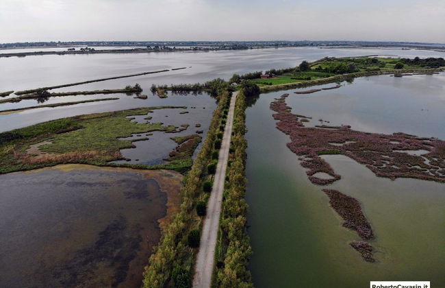 Lovely Apartment Ground Floor Nearly Eraclea sea - Photo 28