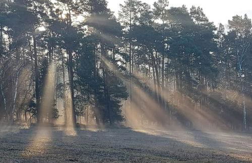 Auszeit auf dem Drachenhof, das Hyggehaus - Foto 39