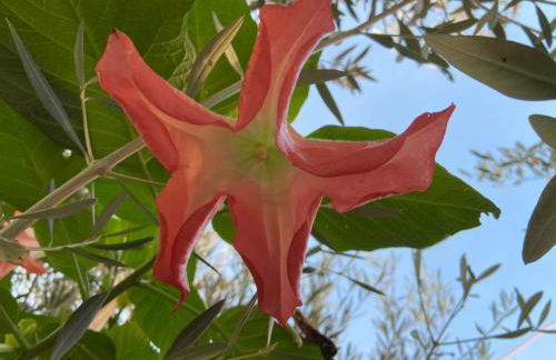 Lemodernlounge, hébergement cosy moderne spacieux - Foto 27