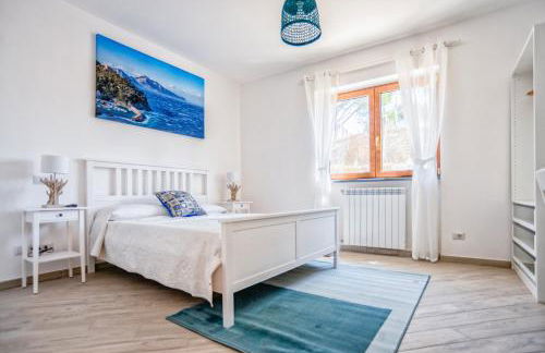 Albero di Giada - Foto 3