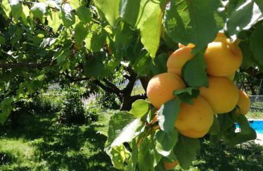 Ansitz Grustdorf - Foto 67