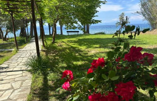 Ξενωνας Νιμπη - Photo 6