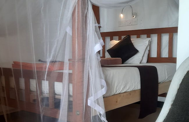 Amor Beach Unawatuna - Photo 23