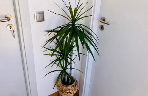 Casas do Baleeiro - Whaler's Houses - Photo 29