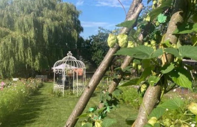 Flower Farm Glamping Retreat in Suffolk - Foto 15