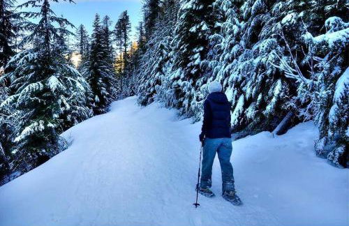 Pet-Friendly Cabin Rental Overlooking a River near Skykomish, Washington - Foto 21
