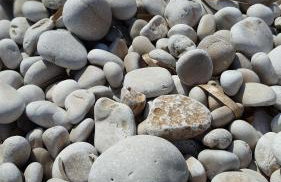 Robinson house Orlandusa - Foto 30