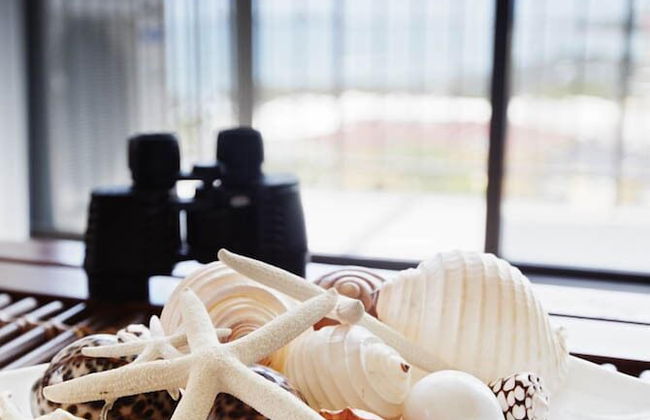 Langley Park Apartments - Photo 30