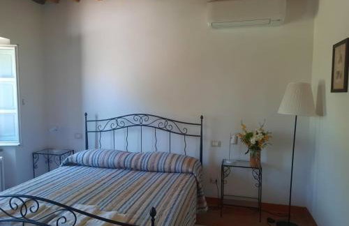 Agriturismo Tenuta Conti Faina - Foto 65