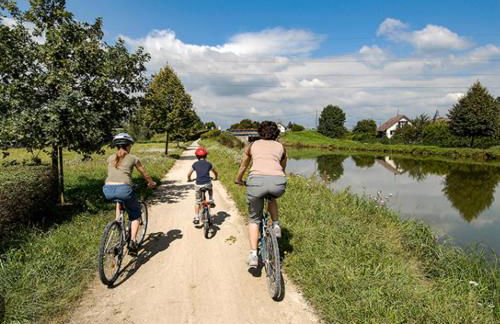 Superbe villa avec piscine proche de belfort - Foto 66