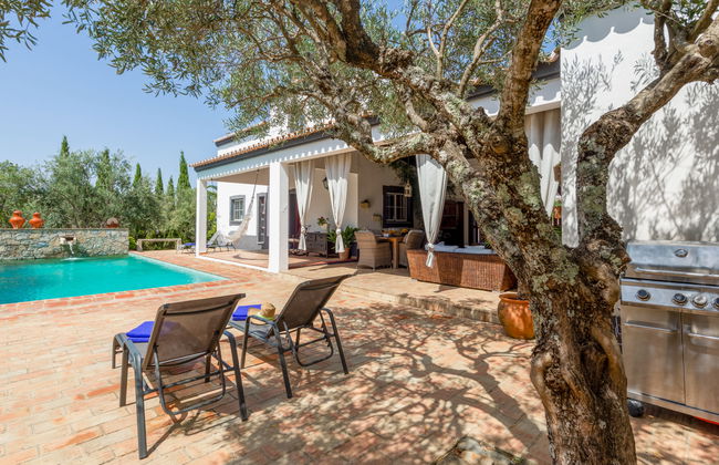 Quintal das Oliveiras - Foto 29