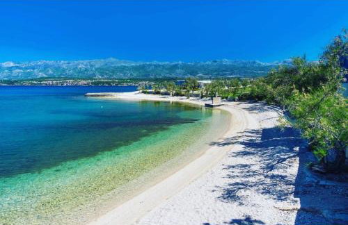 Villa Eximia Novigrad - Photo 32