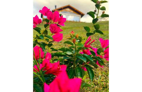 Chalé Caminho do Sol - Foto 69