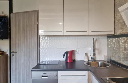 Heritage Apartments Trumbić - Photo 105