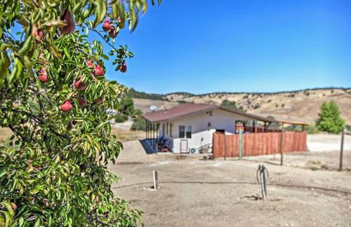 Cottage by the Lakes with Patio by Lake Nacimiento - Foto 22