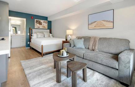 Landing Stylish Studio in Downtown Hermitage - Foto 1