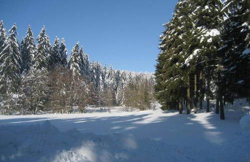 Ferienwohnung Schneemann - Foto 57