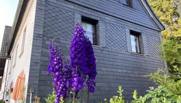 Fewo Lindenhof - Foto 4