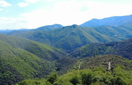 Le Châtaignier - Foto 22