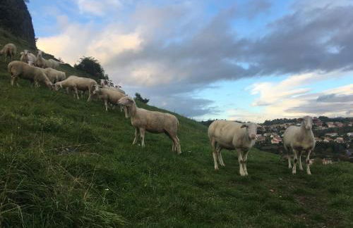 Artist Flat Saint Flour - Foto 49