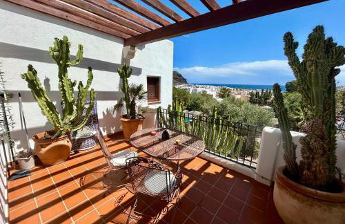 La Washingtonia - Foto 60