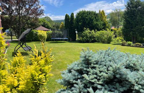 Dolce Vita - Photo 19