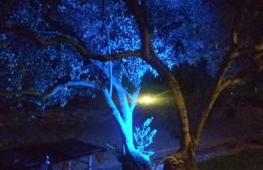 Rent Rooms Alexiou - Photo 25