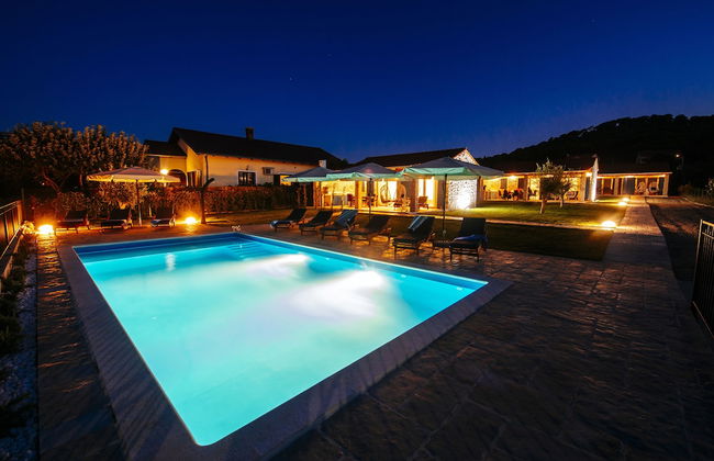 Dalmatian Pearls - Photo 41