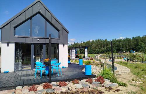 Domek letniskowy - Leśna chmurka - sauna, bania - Foto 1