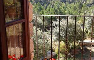 Mas del Salin - Foto 41