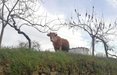 Casa do Rebelhe - Foto 38