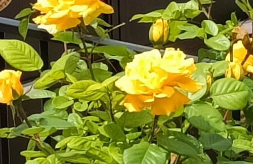 Casa De Aventuras ideal for large groups - Foto 4