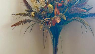 La Casa de Aramita - Foto 4