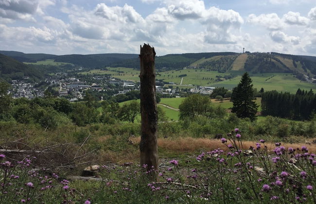 Fewo Corell - Photo 17