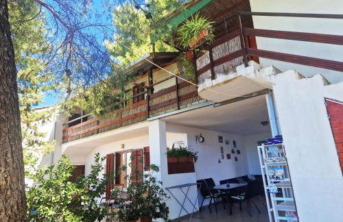 Apartments Vera - Mirca - Photo 9