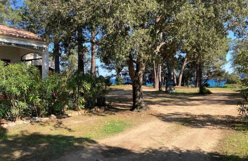 Villa de bord de plage - Foto 28