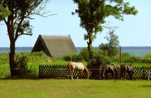 Steinbock-Ferienwohnungen - Foto 22