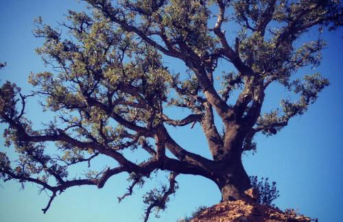 Casa Mariposa - Photo 14