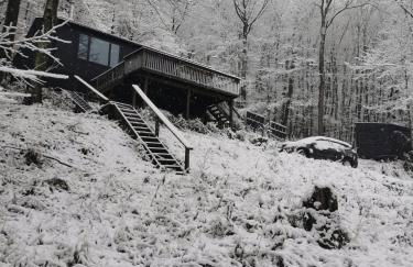 Fireplace Catskill Views Overlook Lake Cabin - Foto 51