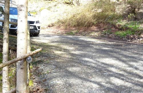 Waldhaus Agnes - Foto 35