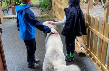 Gasthof zur Sägemühle - Foto 21