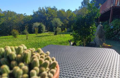 Quinta da Casa Matilde - NATURE HOUSE - Foto 64