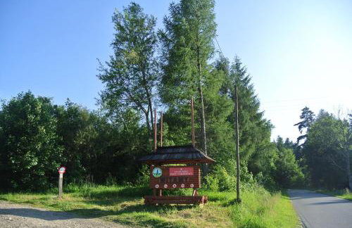 Skała i Las - Foto 19