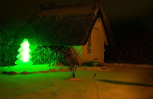 Reethus Starkikker - Foto 11