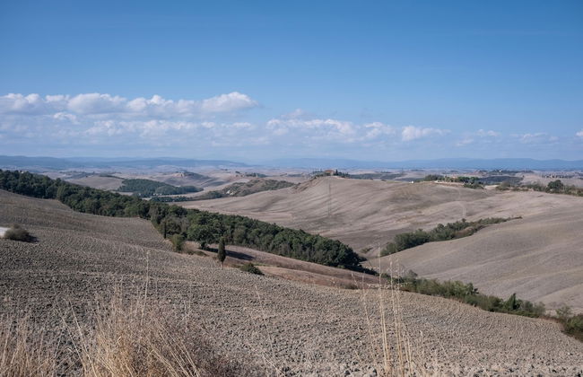 Relaxing Margherita Home Private Garden - Photo 31